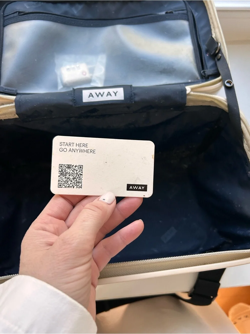 Away Train Case in Salt